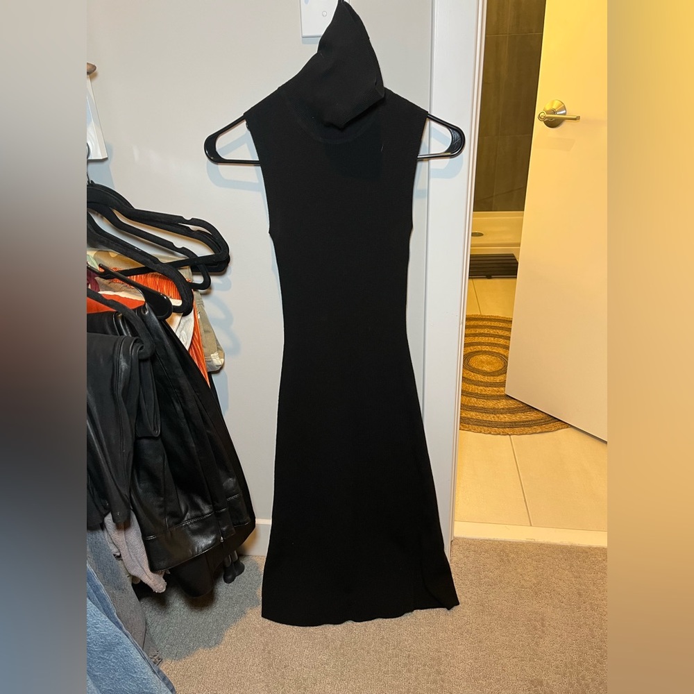 Black knit turtle neck mid dress from Aritzia. only worn once